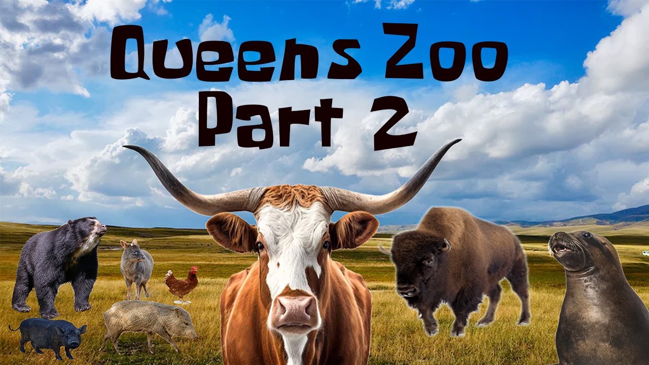 Uncaged Zoo Tours: Queens Zoo Part 2 ft. Bison #uncagedzootours