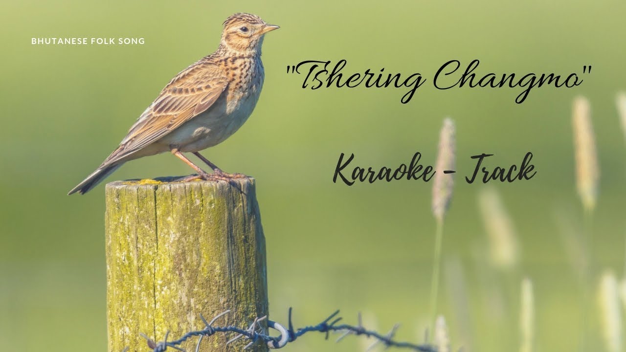 Bhutanese Song | 