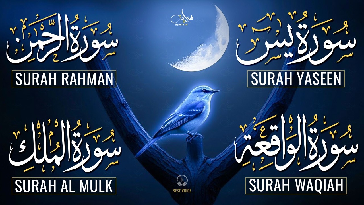 Magical Recitation Surah Yaseen (Yasin) | Surah Rahman | Surah Waqiah | Surah Mulk