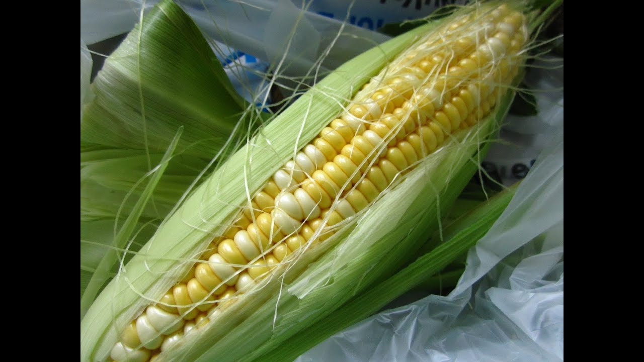Shucking Corn, How to Shuck Corn, Shuck Corn, How to Shuck Corn on the Cob