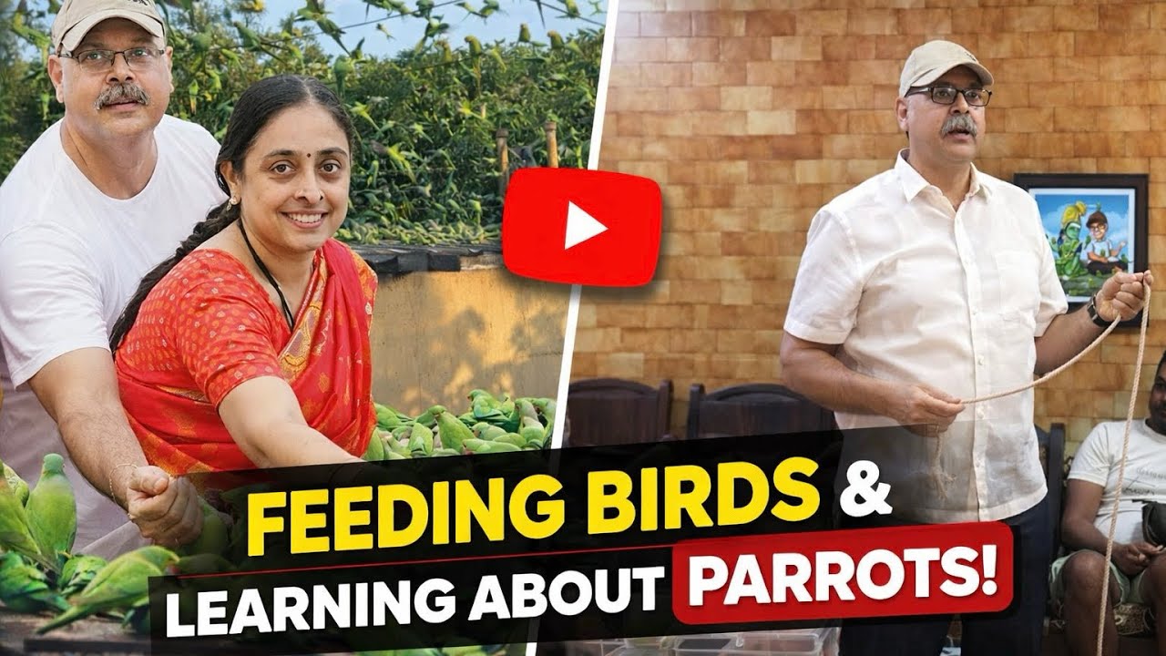 Parrot Sudarson's house in Chintadripet / this is we a a 