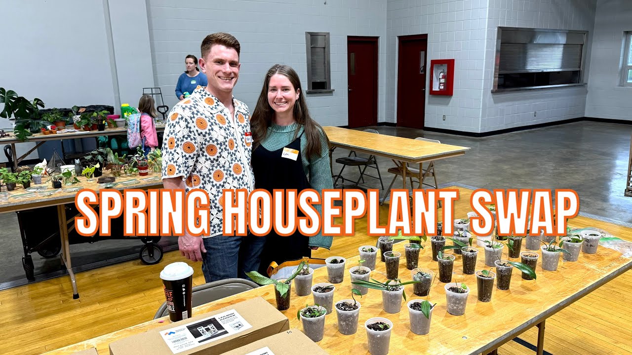 Come swap plants with me!! +SWAP HAUL