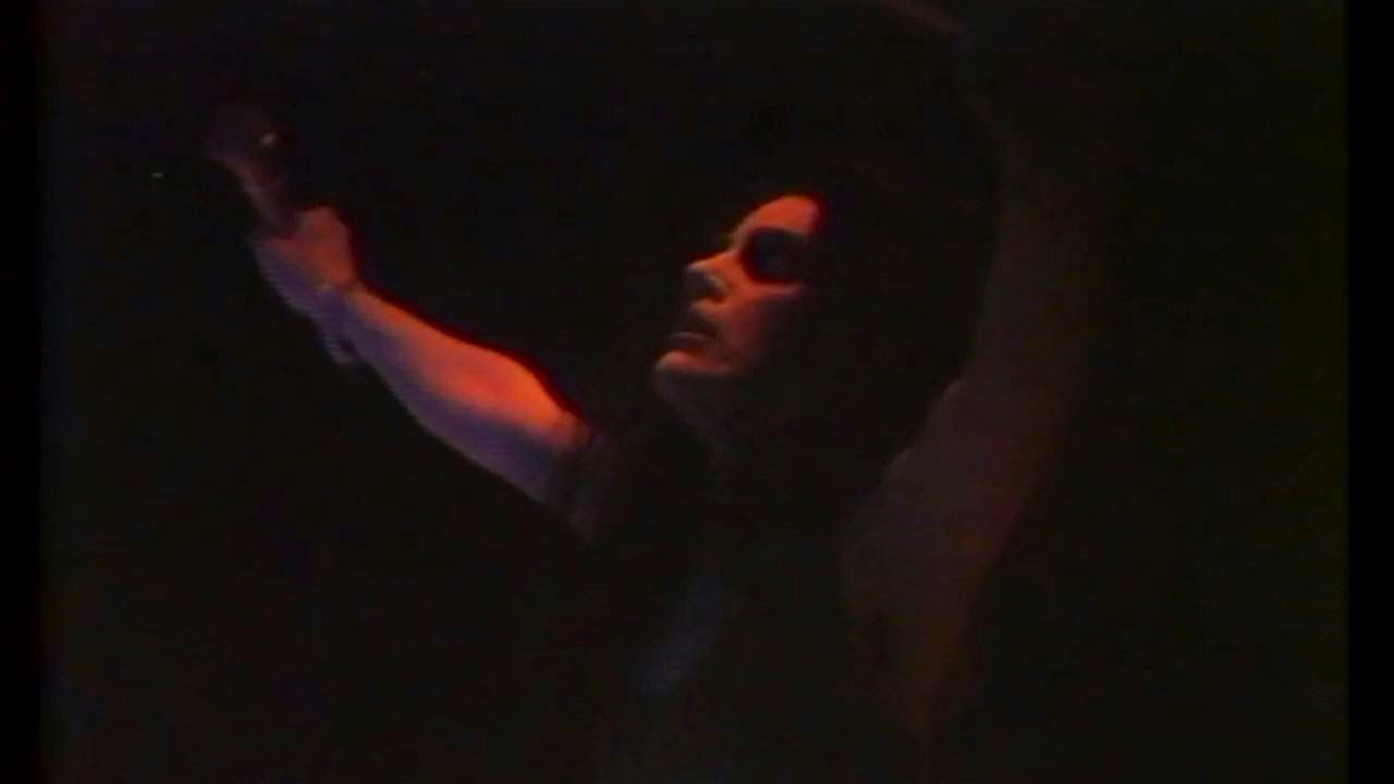 Diamanda Galás - Panoptikon (Live 1984)