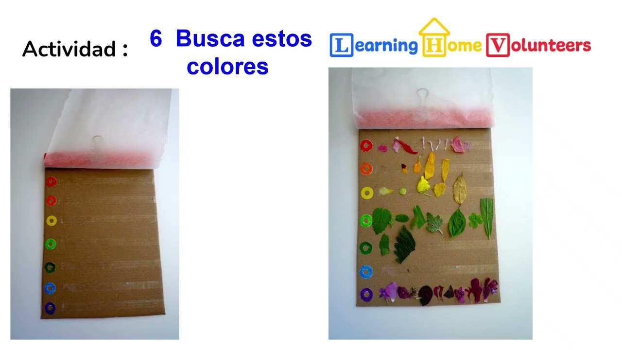Learning Home Volunteers: Colors 2026: Semana 2