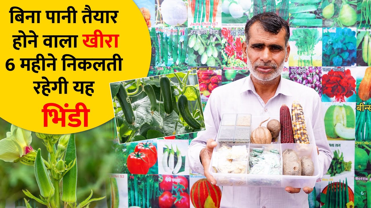 क्यों बढ़ रही है देसी बीजों की डिमांड ? यहां मिलेंगी 500 से ज्यादा किस्में । Gaon Junction LIVE