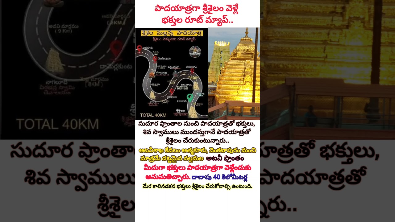 Srisailam padayatra 2025 | Srisailam Temple | Venkatapuram to Srisailam nallamala Forest Trekking