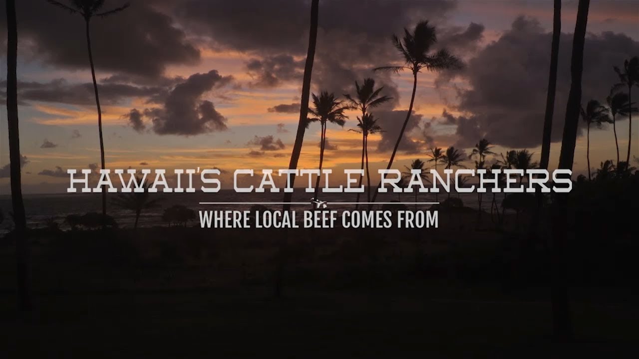 Hawaii's Cattle Ranchers | Where Local Beef Comes From