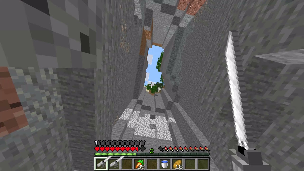 when dream falls into a ravine in a speedrun
