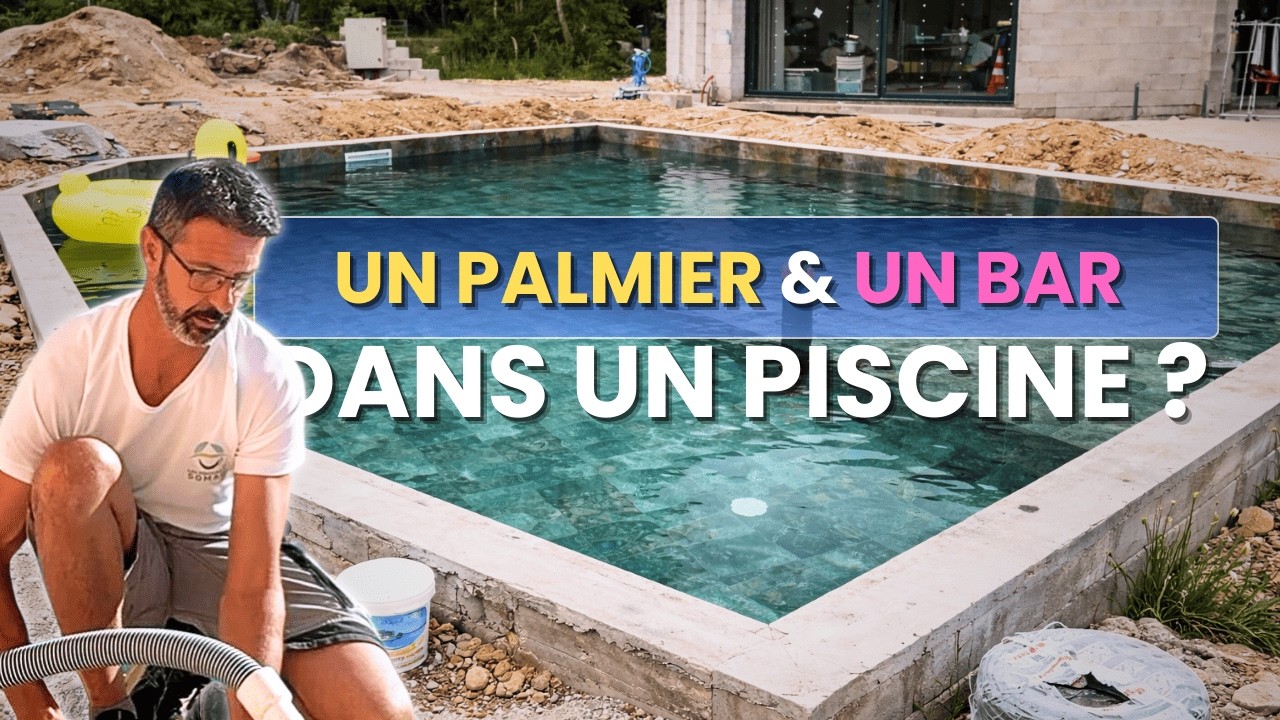 Piscine pierre de bali avec local technique complet