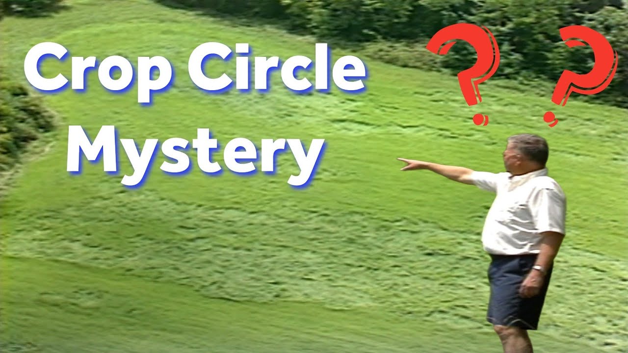 &lsquo;I cannot explain it:&rsquo; Mysterious crop circles show up in farmer's field in 1991