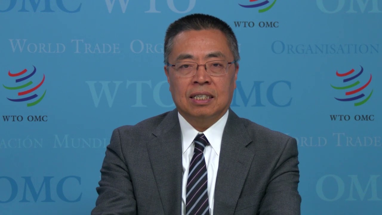 DDG Zhang Xiangchen LDC priorities