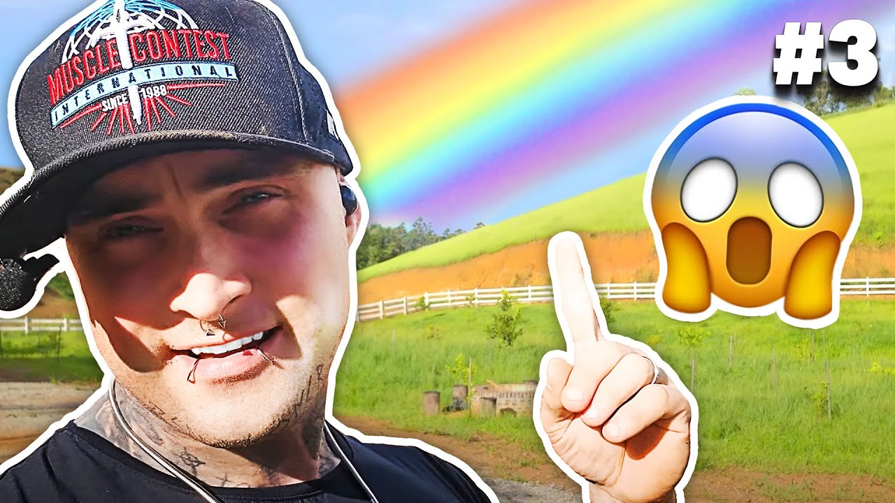 Olkapää / Ojentaja / Hauis treeni | Testodiaries 3.3
