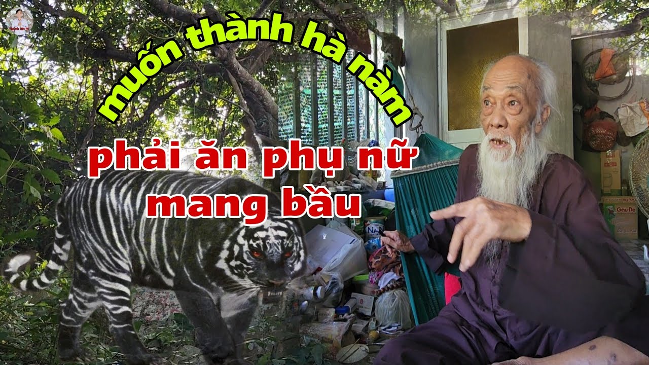 Thợ Săn Ông Tư Đền Từng Gặp Cọp Núi Cấm Và Sự Thật Cọp Luyện Thiên Linh