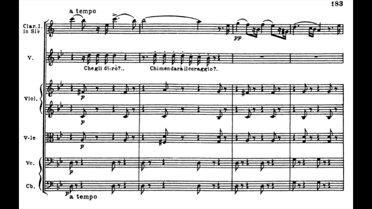 Giuseppe Verdi - Traviata (Scena Violetta) clarinet solo - Davide Bandieri