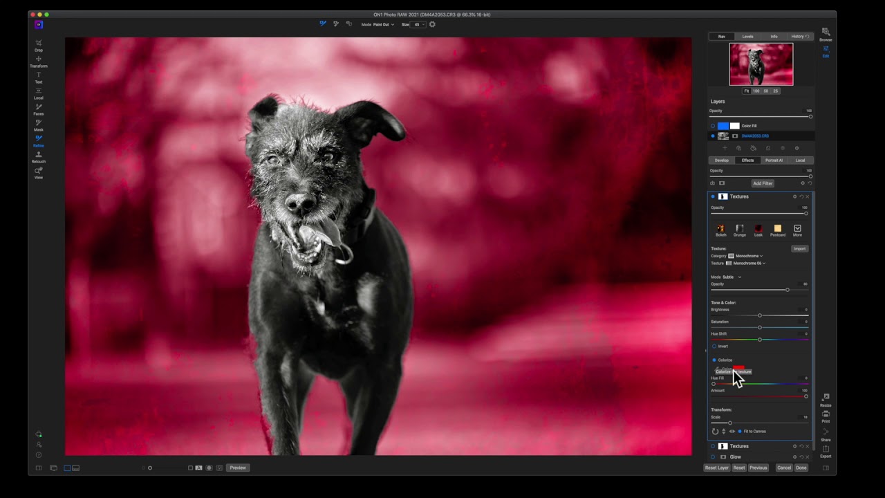 Using AI To Mask In ON1 Photo Raw 2021 - ON1 Tutorial