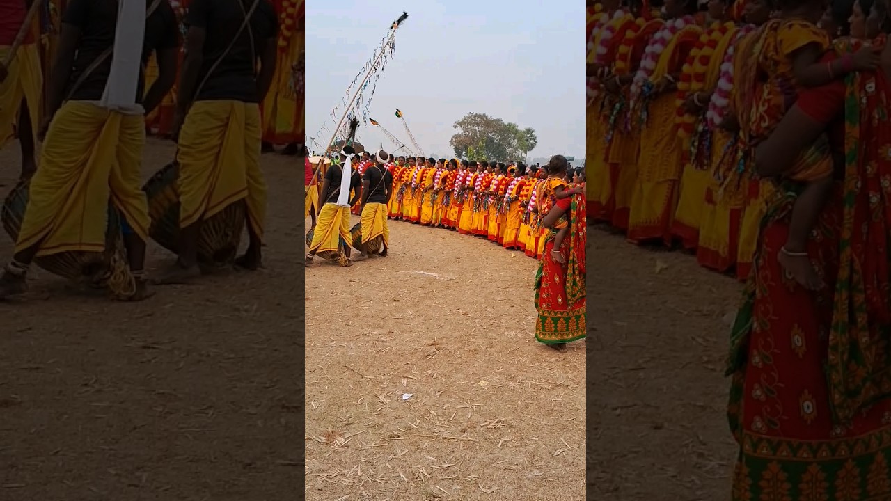 Tribal dance in India. #shorts #tribal #indian #festival #adivasi