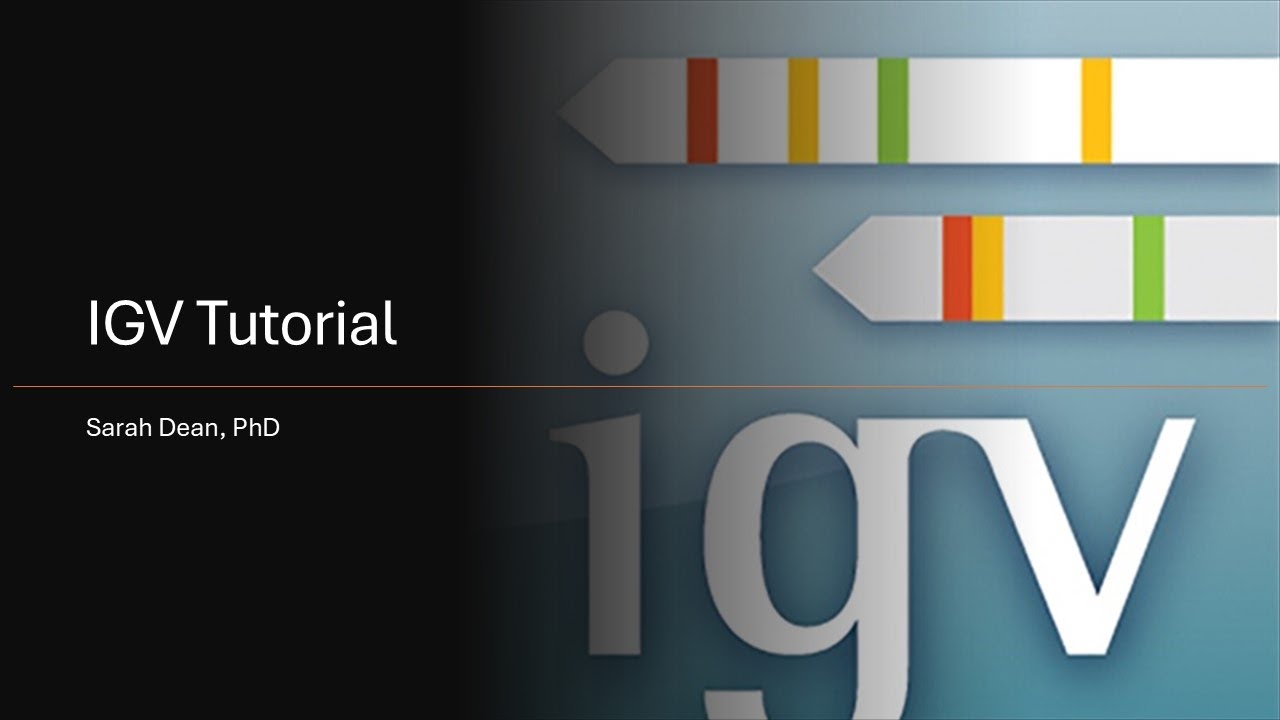 Учебное пособие по IGV, часть 1: Установка IGV