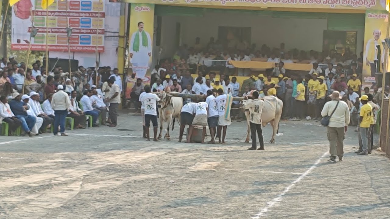 మహానంది న్యూ కేటగిరి విభాగం 8 వ జత