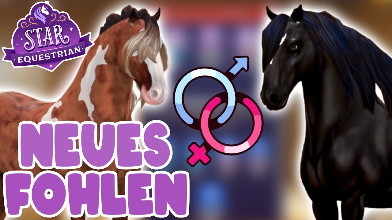 Mein neues Fohlen 🦄 Star Equestrian PC