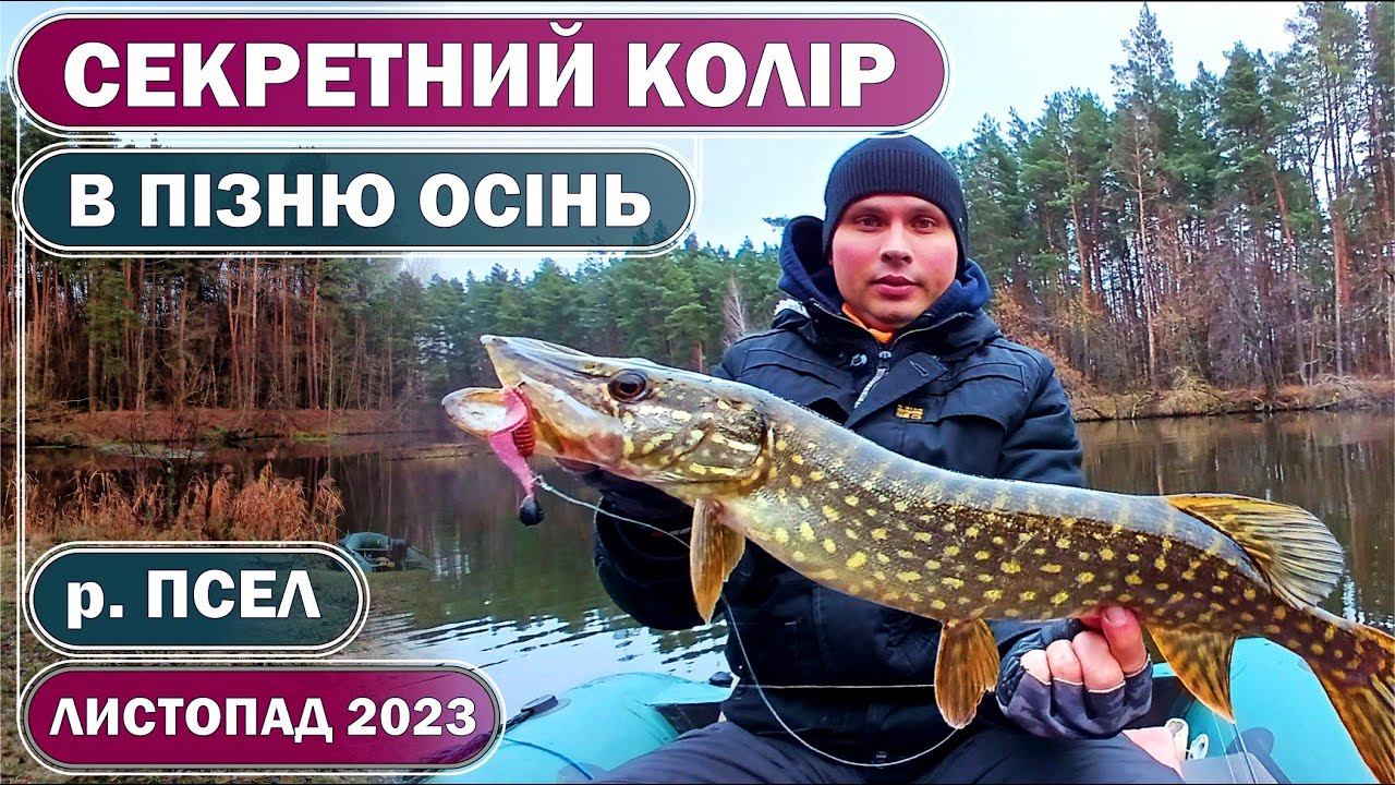 На какой ЦВЕТ и ГДЕ ловить ЩУКУ В НОЯБРЕ? Тактика УСПЕХА! Ловля ЩУКИ на ДЖИГ. Псел. ОСЕНЬ 2023