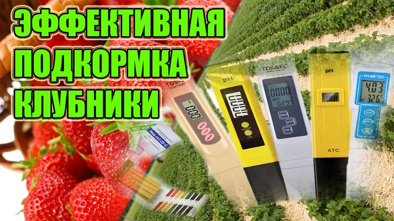 Питание Клубники PH и EC воды