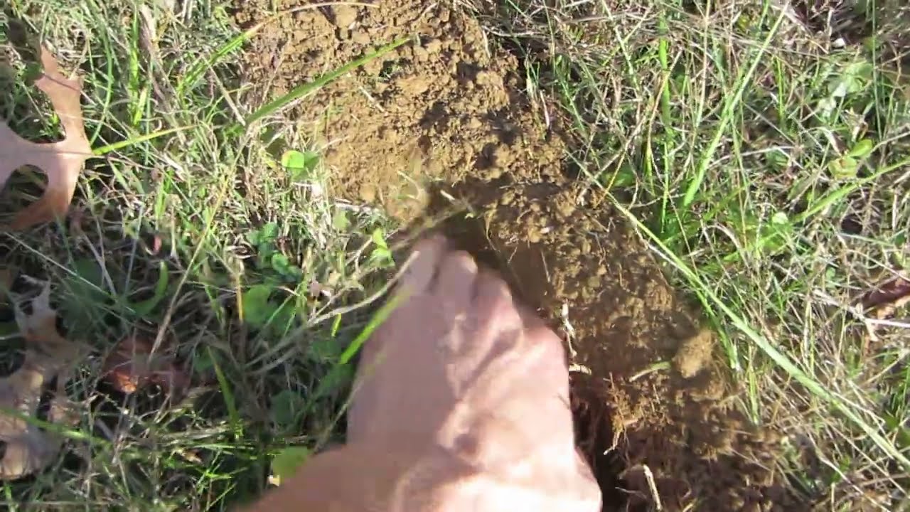 Caravaggi Strip Tiller