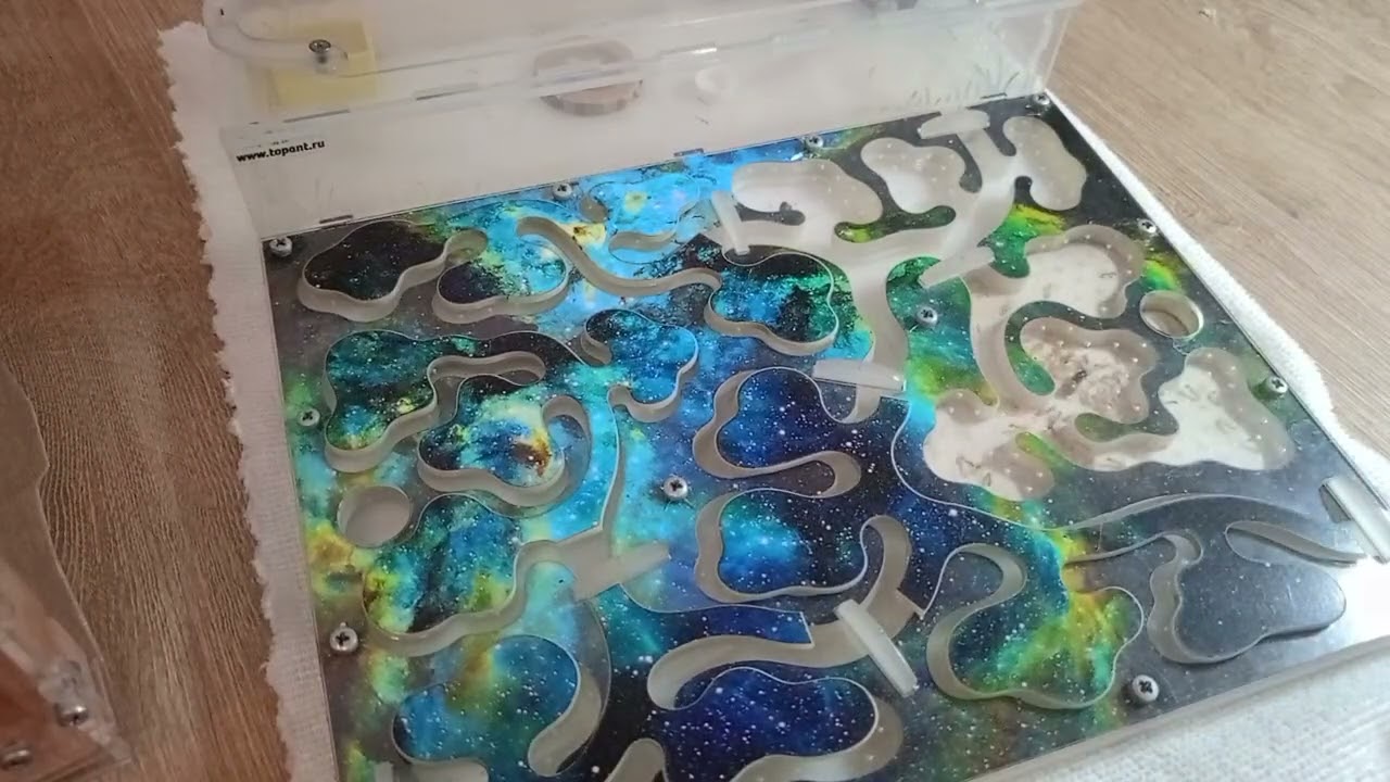 Муравьи и эксперимент с шерстью 