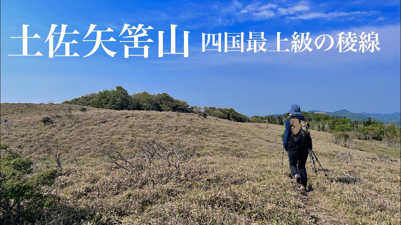 【土佐矢筈山】四国最上級の絶景稜線 まさにリトル天狗塚 穴場感100点！