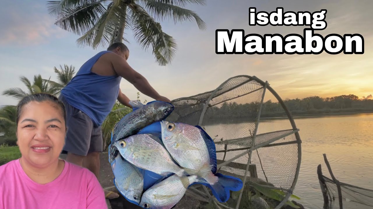 Nakahuli ng isdang Manabon sa Bakikong