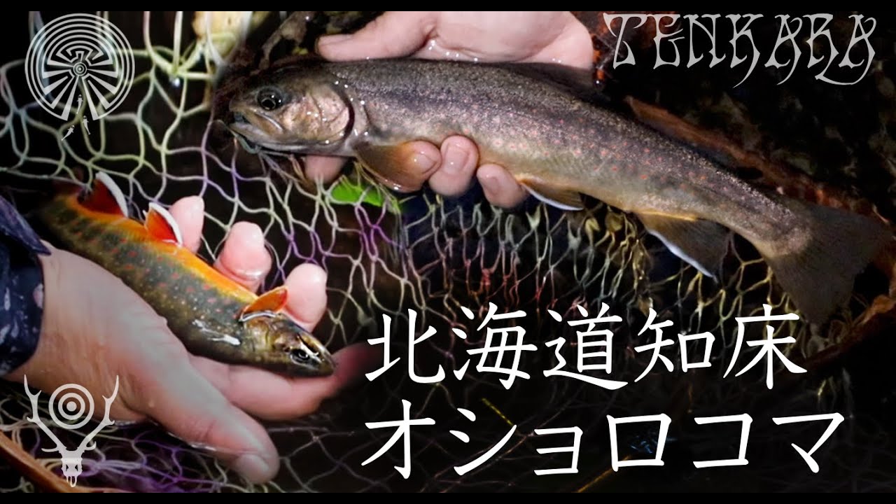 TENKARA SESSION #14 / テンカラ セッション北海道 - 知床オショロコマ