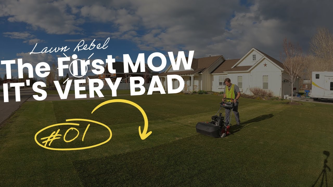 FIRST REEL MOW. FERTILIZER APP 2024