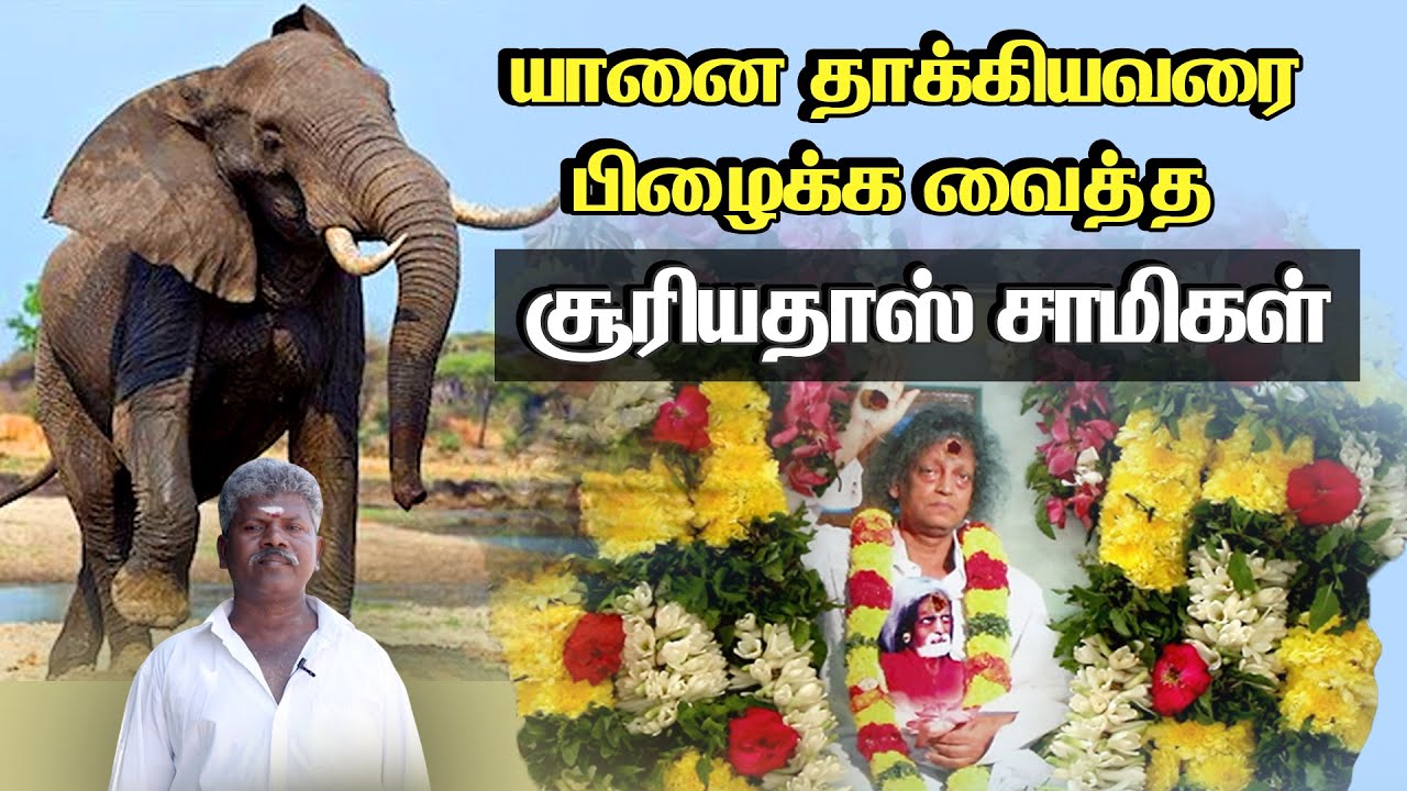 யானையால் தூக்கி வீசப்பட்டவரை உயிர்பிழைக்க வைத்த சித்தர் “சூரியதாஸ் சாமிகள்” | History Of Siddhar