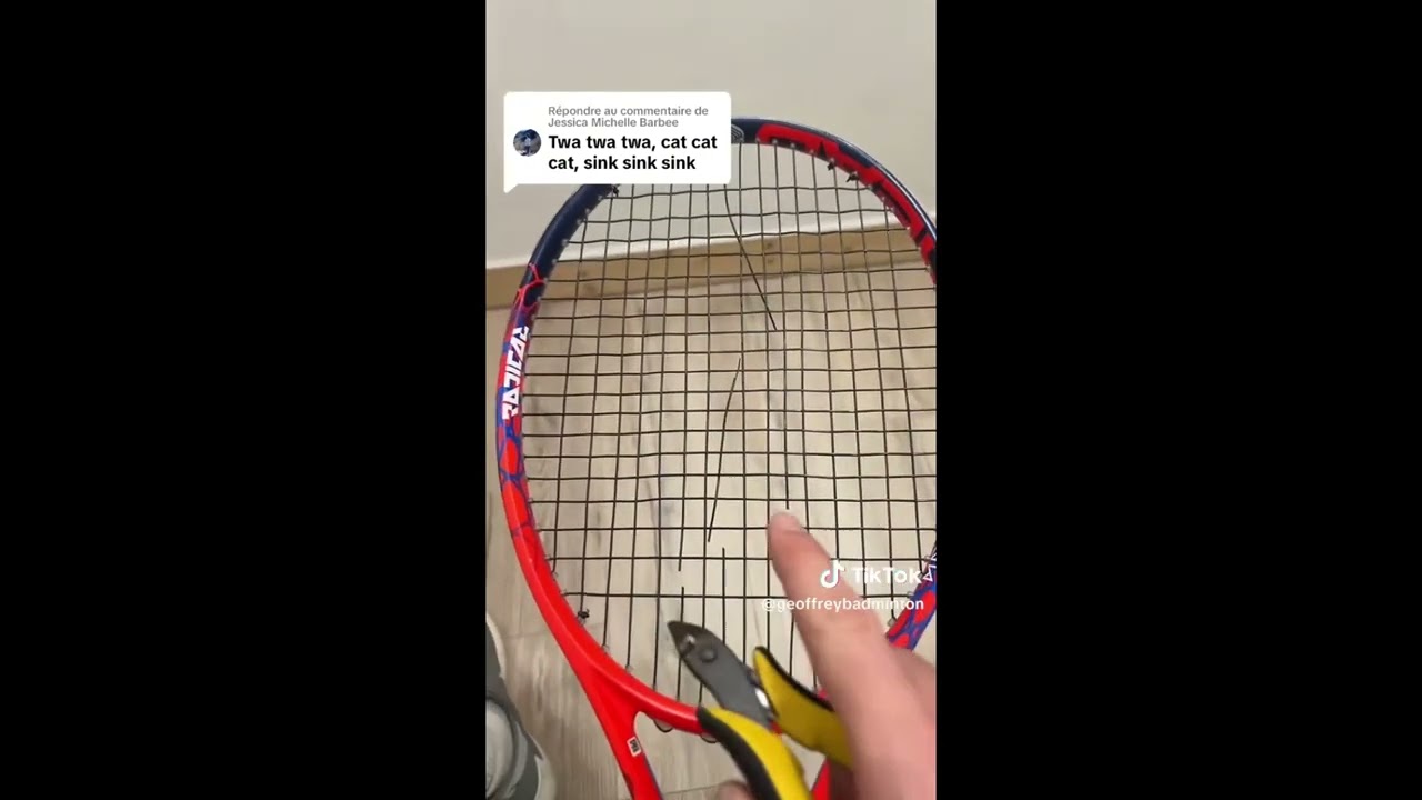 TikTok GeoffreyBadminton French ASMR Compilation
