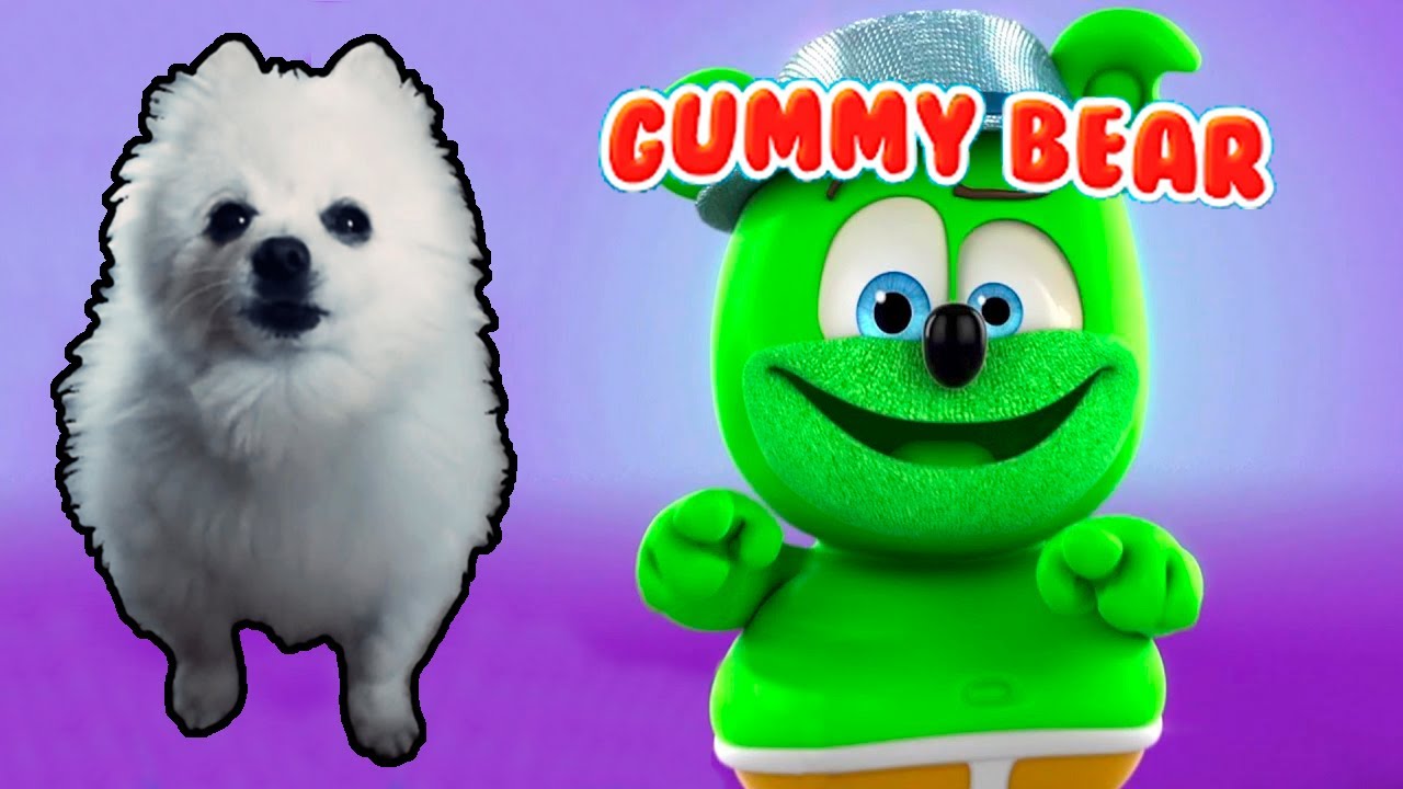 Gummy Bear em cachorrês | NOSTALGIA