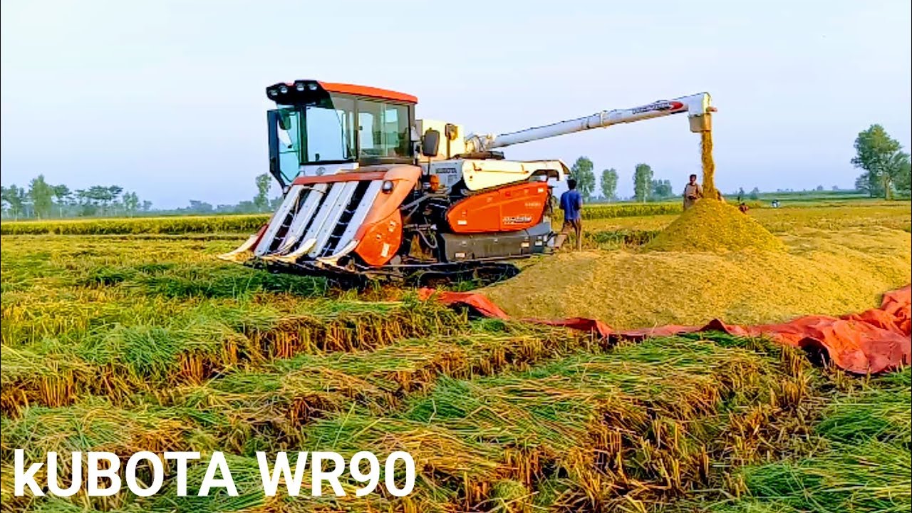 Kubota WR90 Harvester Working In Rice Field New Model 2023 and ojla velog