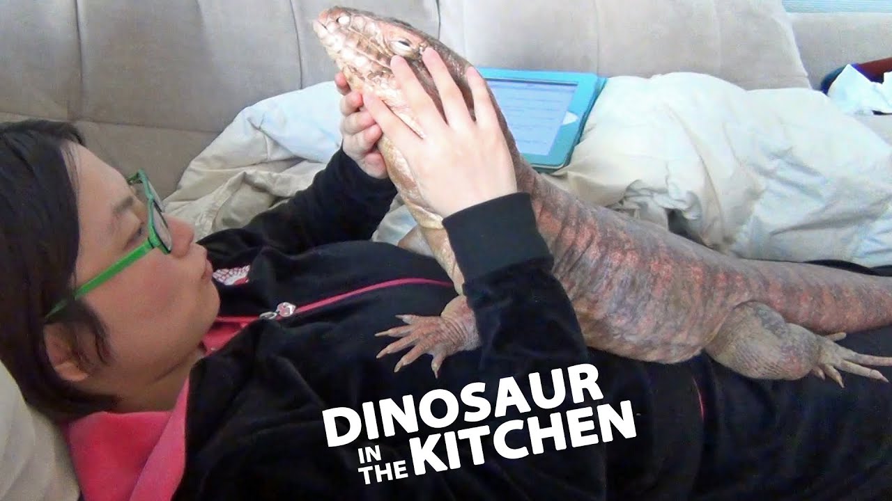 ☜ Hungry dinosaur in my kitchen!