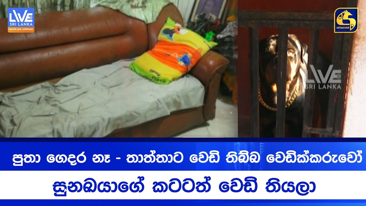 පුතා ගෙදර නෑතාත්තාට වෙඩි තිබ්බ වෙඩික්කරුවෝ - සුනඛයාගේ කටටත් වෙඩි තියලා