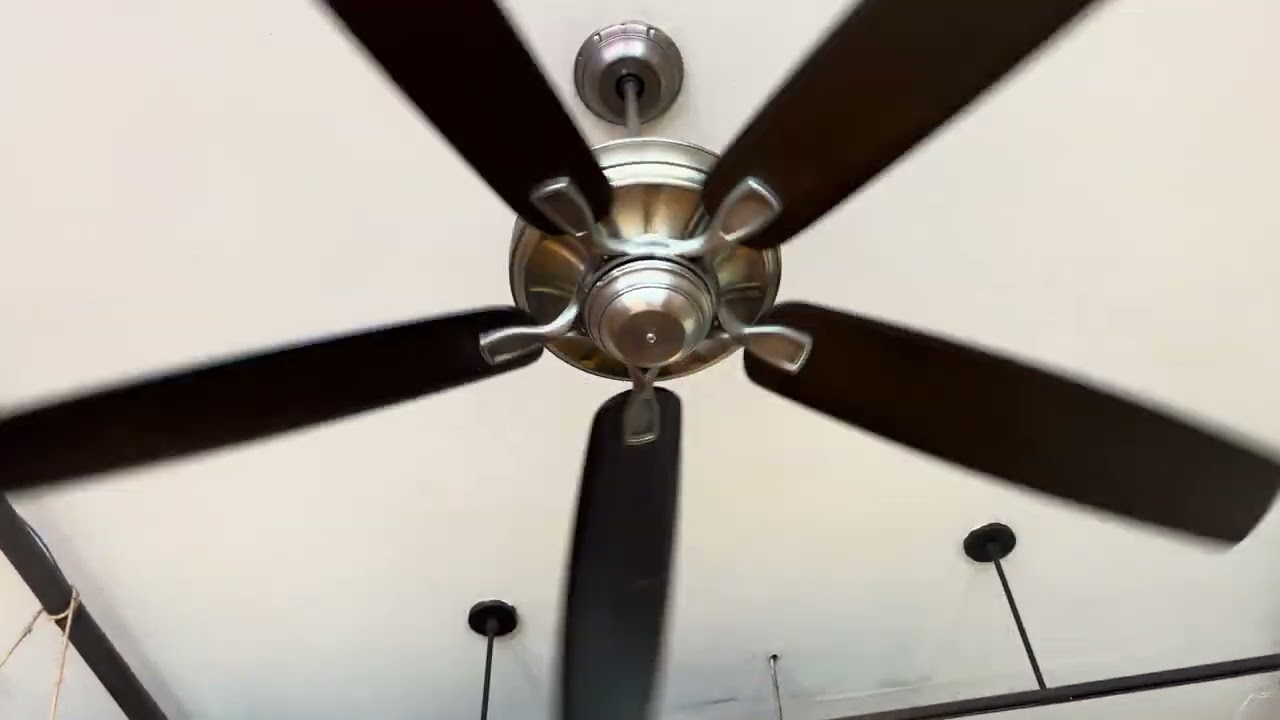 Casa Vieja Predator & Emerson Carrera Grande Eco Ceiling Fans at Crescent City Brewhouse