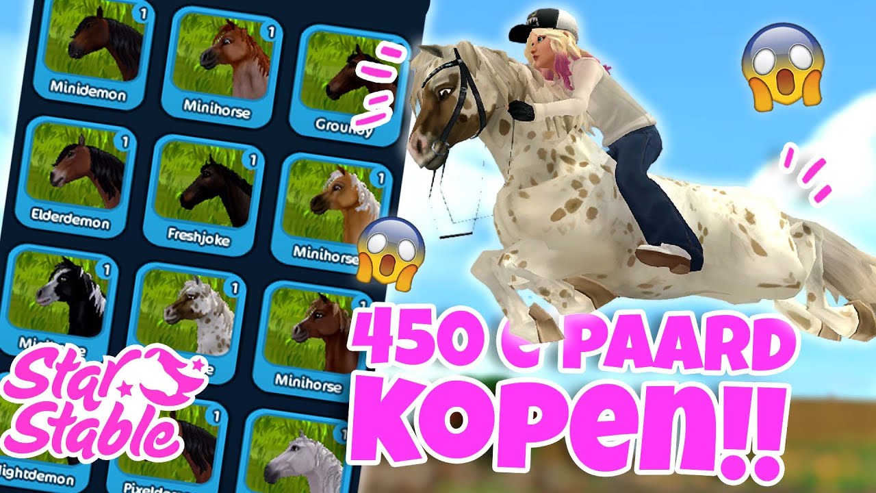 MIJN 450e PAARD KOPEN! +  MEGA PAARDEN SHOPPING | SSO (nl) | wolfxjessy