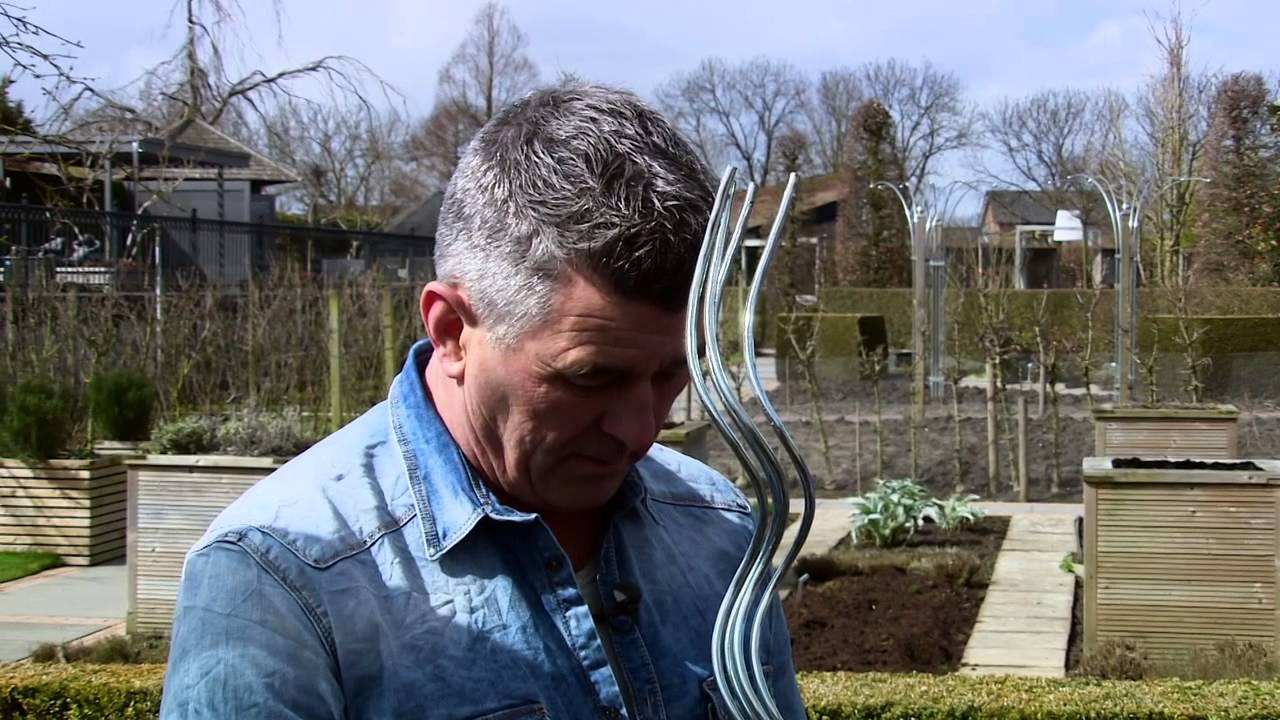 Je eigen tomaten kweken