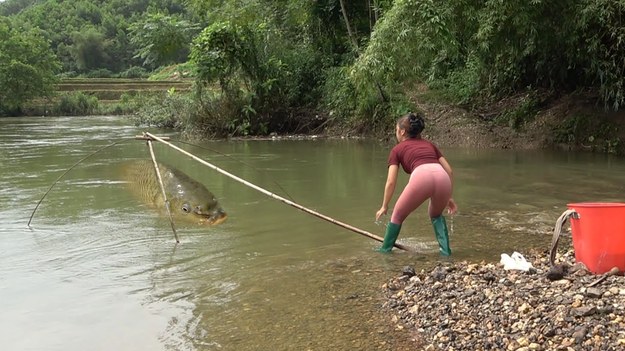 Interesting Fishing Techniques, Traditional Fishing with Bamboo and Fishing Net, Catch a Lot of Fish