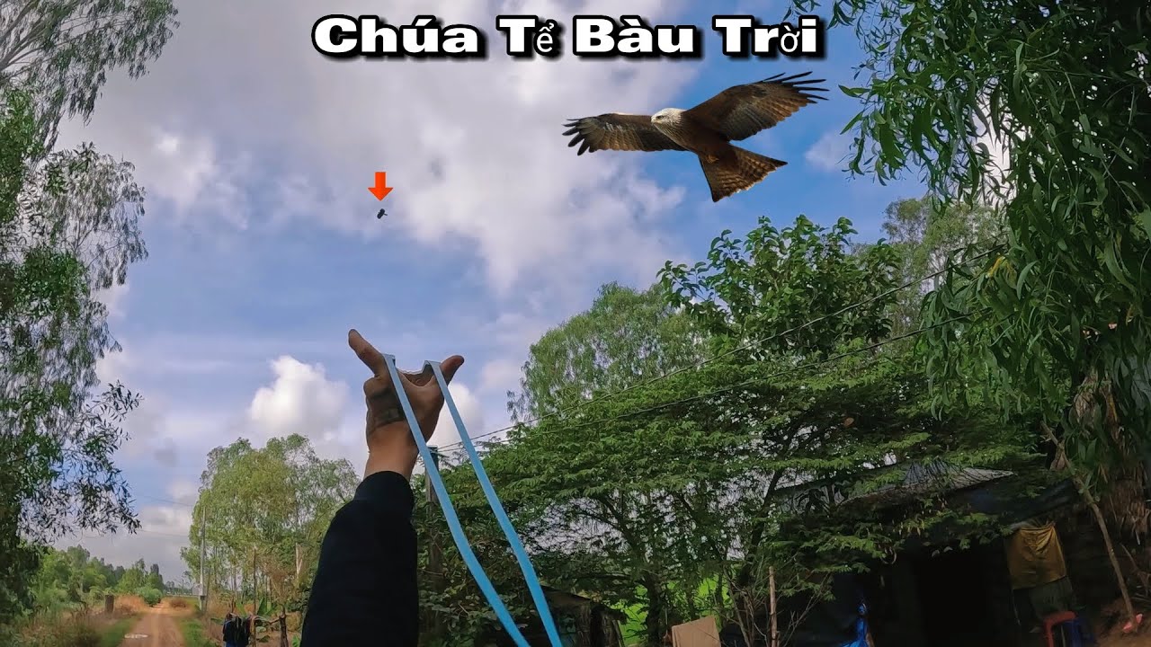 Tuấn Nhỏ || Pha Bắn Chúa Tể Bàu Trời Đang bay Cực Đẹp Mắt.....