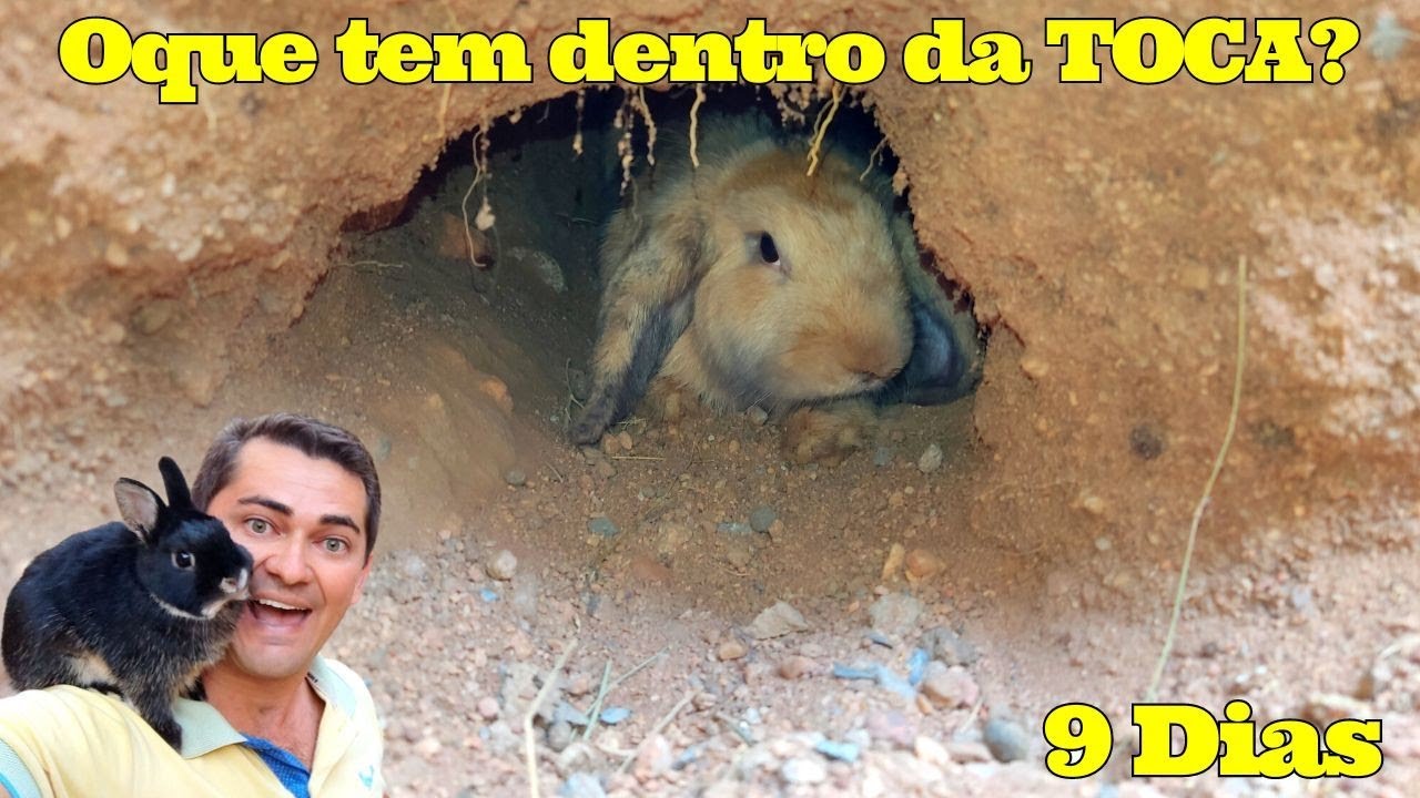 Filmamos dentro da toca do Coelho