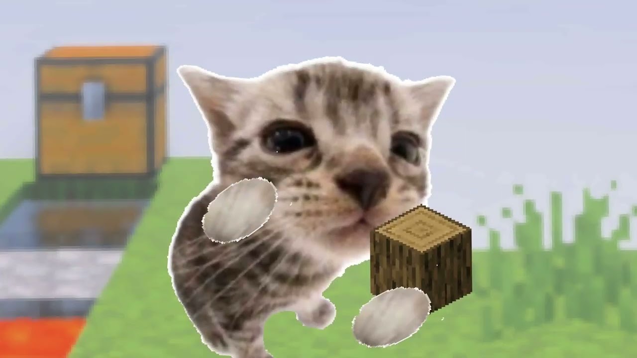 Skyblock Cat 2