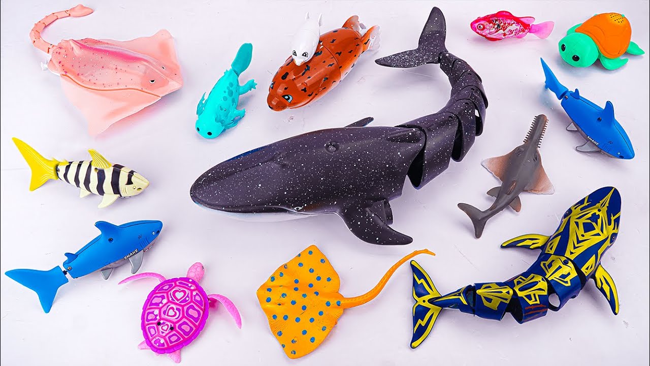 [🐋toy asmr🐋] RC Whale & Sea Animal Toys Collection ASMR | Satisfying With Unboxing