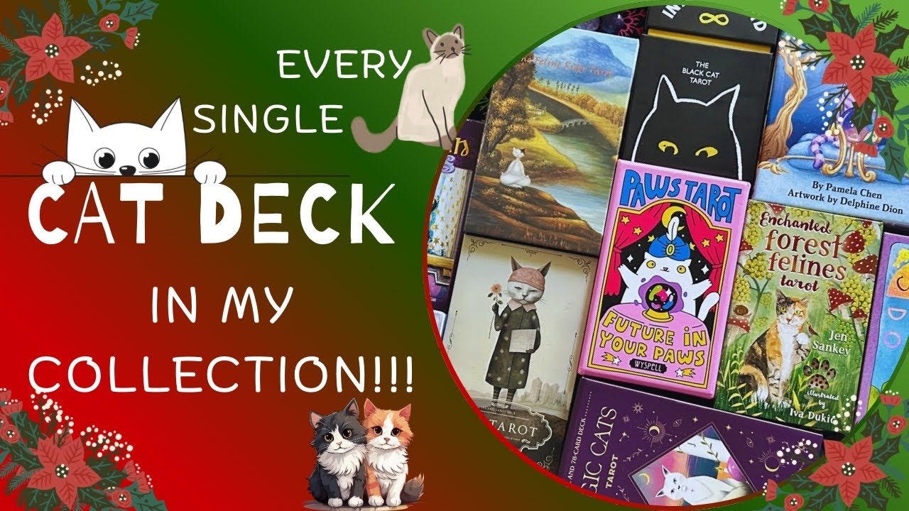 ALL OF MY CAT DECKS!!!😻 | Tarot & Oracle | A Collection Reflection 