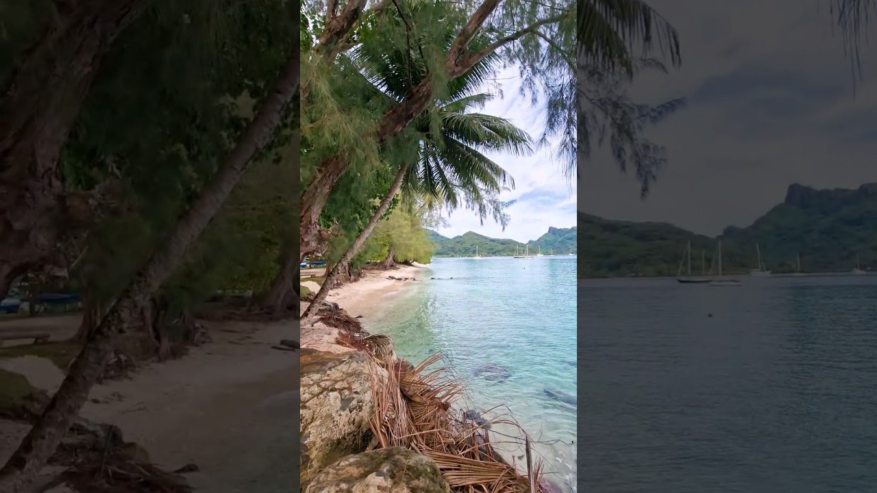 Natural Beauty, Huahine French Polynesia 🥰🌴❤️ #huahine #frenchpolynesia #naturevibes #naturelovers