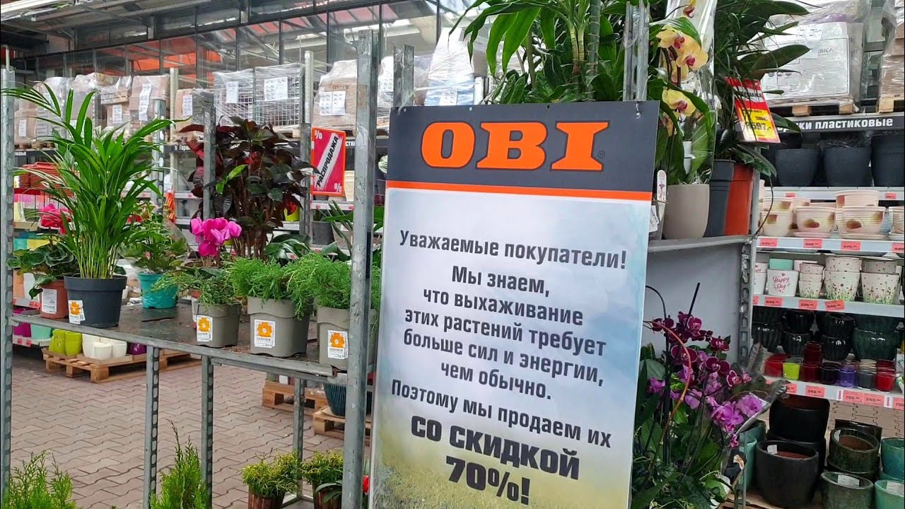 УЦЕНЕННЫЕ КОМНАТНЫЕ ЦВЕТЫ В ОБИ🪴❤(ПРИЦЕНИВАЮСЬ К СТЕЛЛАЖУ)🌿🌷