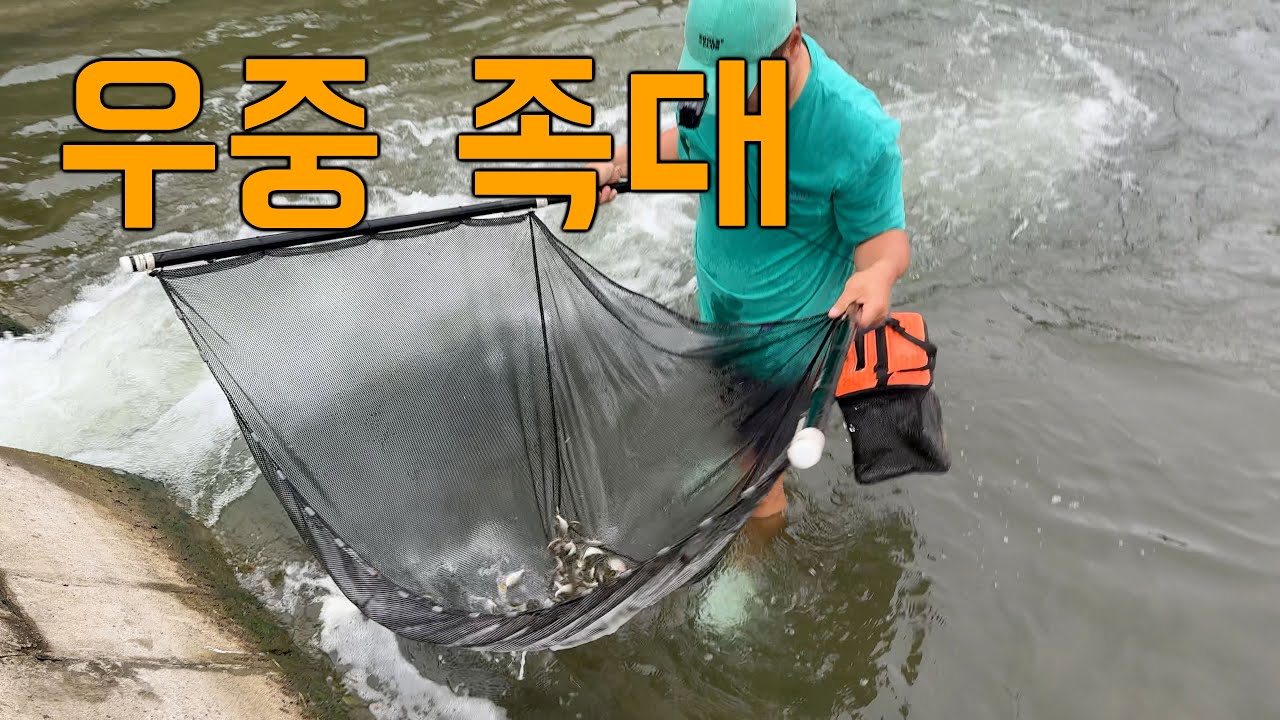 우중 족대는 못참지! 쏘가리 먹이 잡아주러 옥산보에 갔습니다!