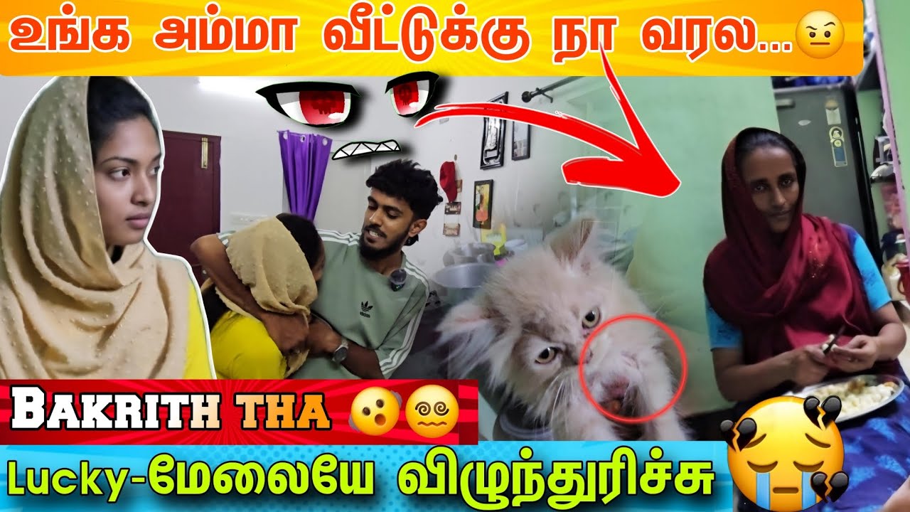 BAKRID - க்கு 🕋 Munnala 🥺 இப்படி ஆனாது ரொம்ப சங்கடமா இருக்கு‼️😭 || நா வரல உங்க வீட்டுக்கு 😡 lucky 😭